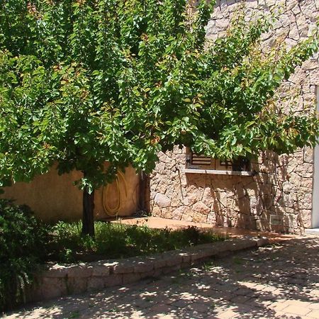 Bella Casa Con Giardino A 10 Minuti Dal Mare Apartment Aglientu Bagian luar foto