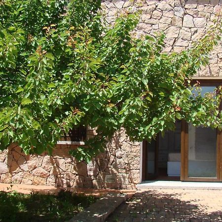 Bella Casa Con Giardino A 10 Minuti Dal Mare Apartment Aglientu Bagian luar foto