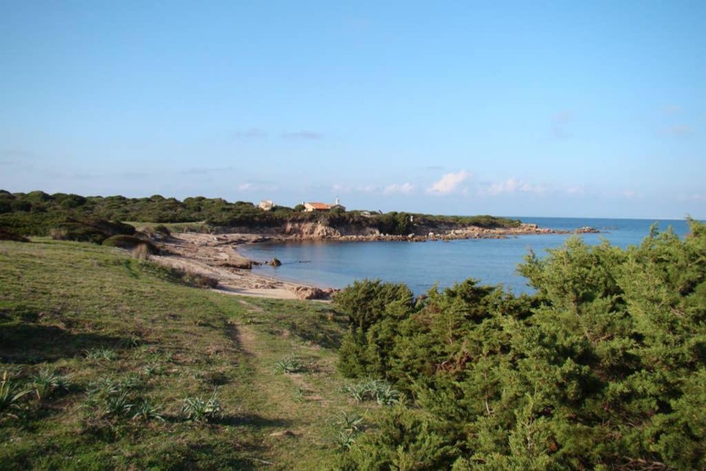 Bella Casa Con Giardino A 10 Minuti Dal Mare Apartment Aglientu Bagian luar foto